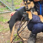 492815852 1081007684057045 5412325298880969681 n