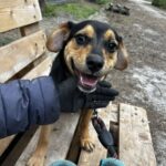 493084623 1081007767390370 2249883594102987689 n