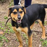 493120166 1081007677390379 9111766858389965389 n