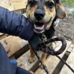 494698119 1081007754057038 2273915656568011568 n