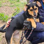 495240993 1081007704057043 349529800475730537 n