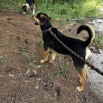 513245749 1119055536918926 1543001232704876157 n