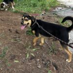 513256633 1119055520252261 6944894893750342664 n