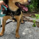 514361933 1119055020252311 5901553281781690887 n