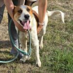 561583262 1208727561285056 3651079665324211446 n