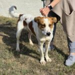 561744434 1208727524618393 1957946966400834452 n