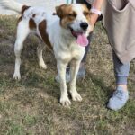 564834639 1208727617951717 7927472056451636677 n