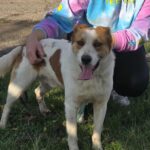 589318193 1245767887581023 1572145134433098738 n