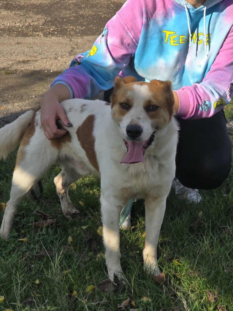 589318193 1245767887581023 1572145134433098738 n