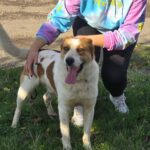 590258203 1245767974247681 500054029369773145 n