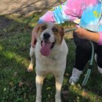 591980681 1245767867581025 3190647069510598370 n