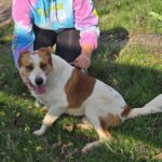 592097364 1245768010914344 5772979575896438622 n