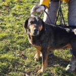 486631513 1050336840457463 1932279405114193434 n