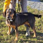 486973893 1050336870457460 6500332645183555400 n