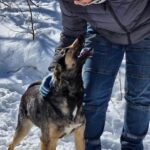 487013618 1050574160433731 4315637615717555926 n