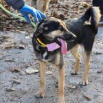 487028729 1050041203820360 6538591960265187291 n