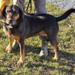 487036914 1050335797124234 1415710673881164650 n