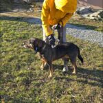 487076407 1050336820457465 1364142860674308248 n