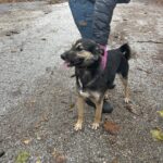 487128988 1049790507178763 4176427457120842349 n