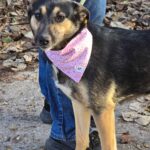 487226067 1050041333820347 6836615914425794024 n