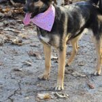 487302574 1050041397153674 5422533826773884332 n