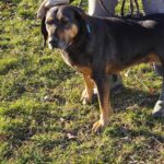 487308696 1050336843790796 5937356108274184243 n