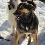 487309575 1050574133767067 3584370002953901239 n