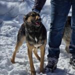 487342022 1050574173767063 2828514405119263619 n