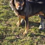 487361324 1050335803790900 8432519168544611686 n