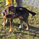 487387891 1050336070457540 7979668125159767706 n