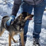 487494488 1050574000433747 4836781695700430685 n