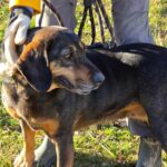 487505501 1050335987124215 709093457370116068 n