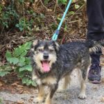 490107143 1061587032665777 5477970732798292258 n