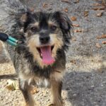 490268707 1061587015999112 2440289871696602950 n