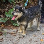 490456938 1061586839332463 4572626372967298220 n