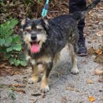 490468760 1061586512665829 8455848984985439409 n