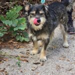 490748090 1061587072665773 93446801242418124 n