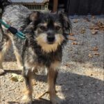 491037524 1061586692665811 1549827891586839593 n