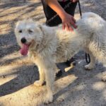 491904163 1069137655244048 2312945468825858966 n