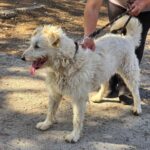 491990948 1069137185244095 8298036685679671768 n