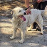 491995924 1069138201910660 9080172730975316159 n