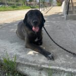 493481322 1086363316854815 2529796025565981664 n