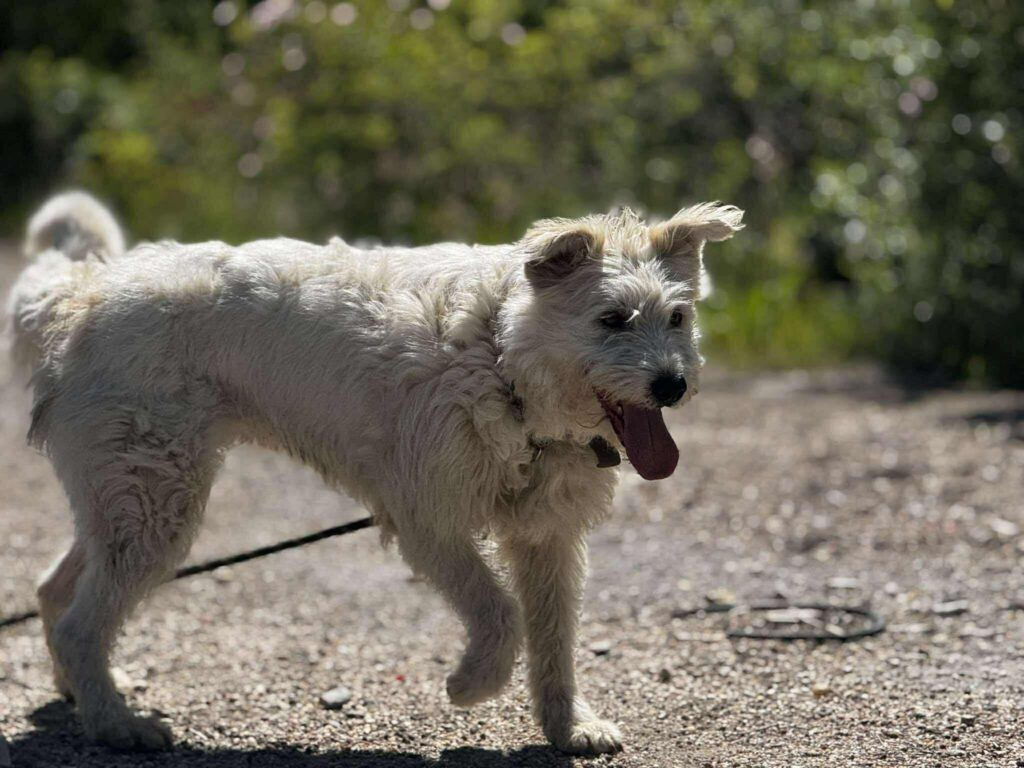 493685791 1096357582522055 2078418251880035615 n