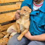 493928421 1111242331033580 3524258125028856470 n