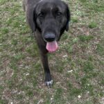 494139058 1086363806854766 3040543424712706641 n