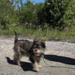 494537715 1102293421928471 5960934434133575813 n