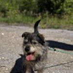 494547821 1102293398595140 2041047542231374075 n