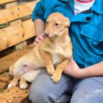 495000235 1111242141033599 185977420799981509 n