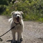 495294264 1096357439188736 3182101892060838244 n