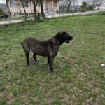 496308226 1086363946854752 8154035791131253661 n